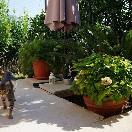 Kuca Cvjetkovic Otel Gruda Dış mekan fotoğraf