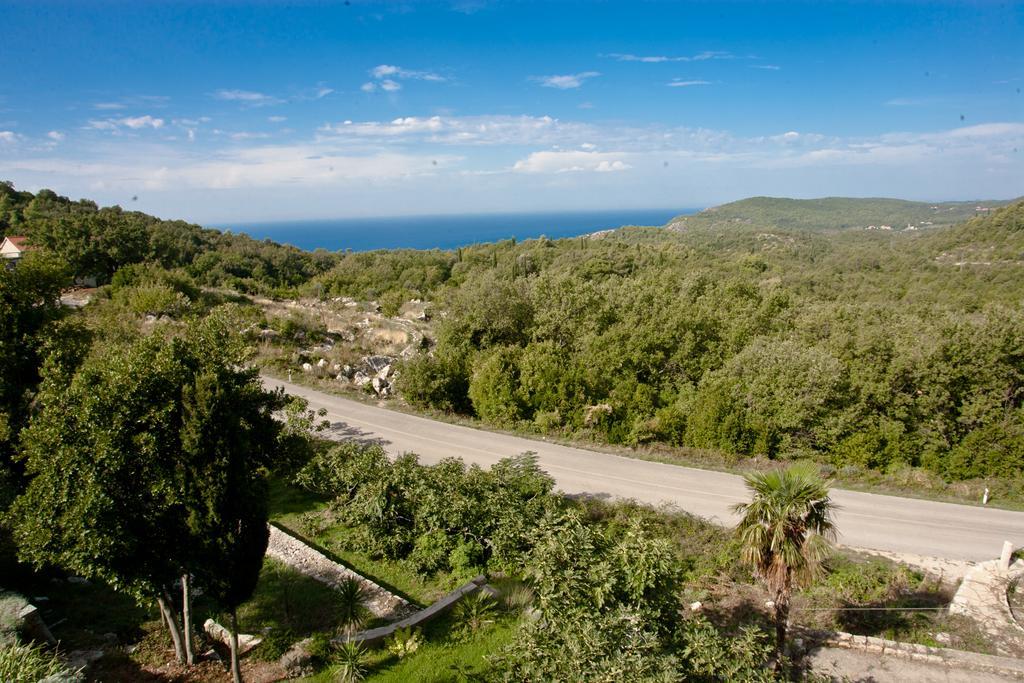 Kuca Cvjetkovic Otel Gruda Dış mekan fotoğraf