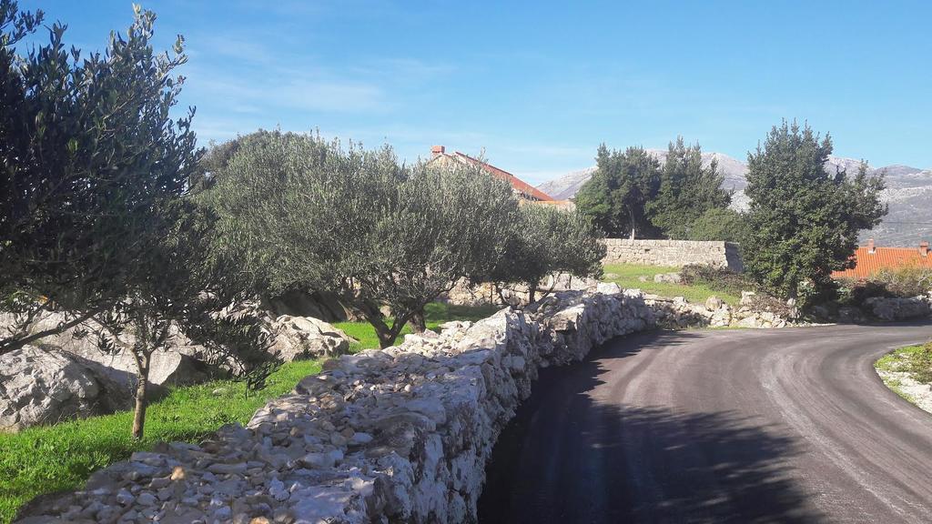 Kuca Cvjetkovic Otel Gruda Dış mekan fotoğraf