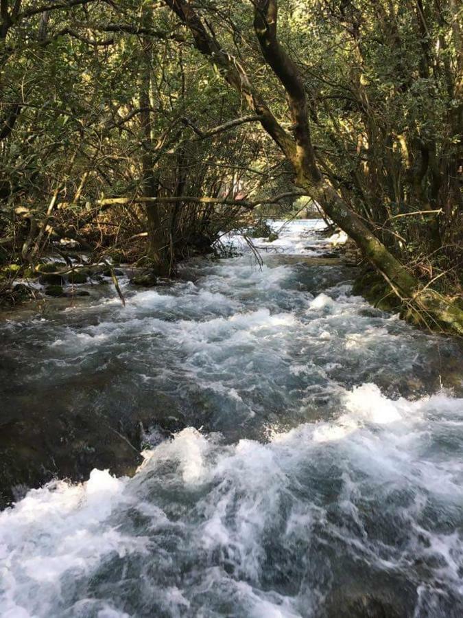 Kuca Cvjetkovic Otel Gruda Dış mekan fotoğraf